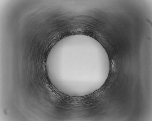 X0000100490819200806130753