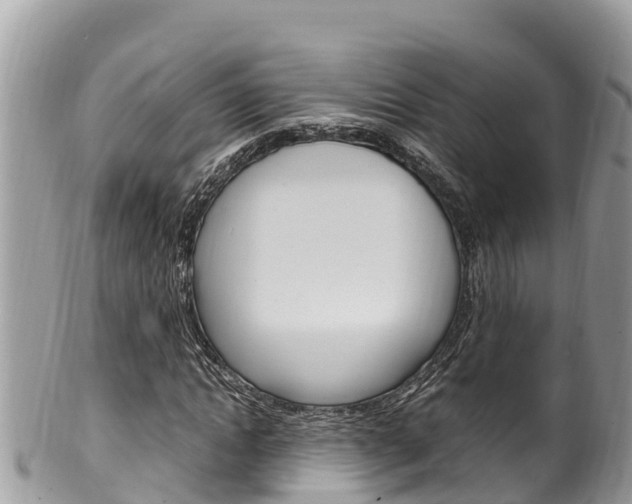 X0000100490822200806130753