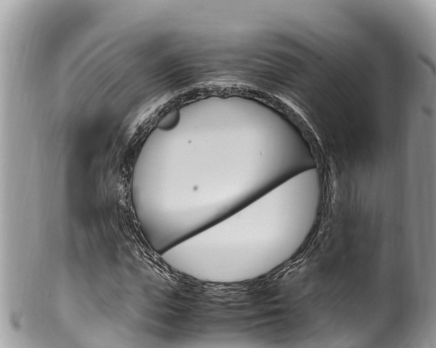 X0000100490823200806130753