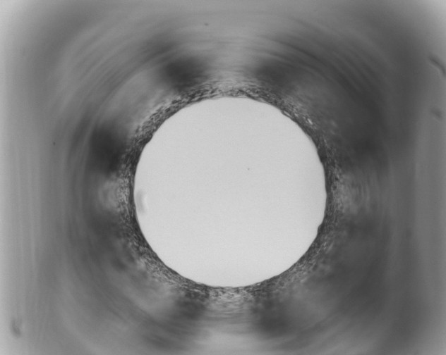 X0000100490824200806130753