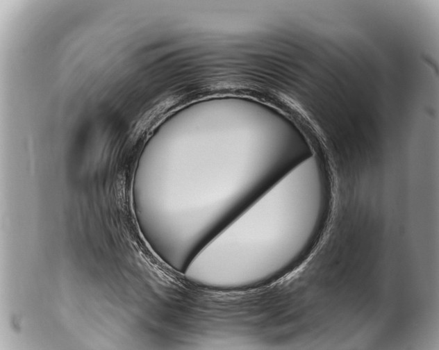 X0000100490825200806130753