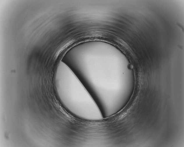 X0000100490826200806130753