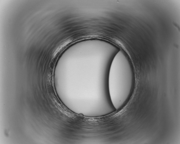 X0000100490827200806130753
