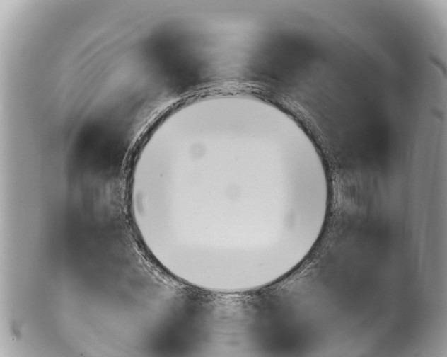 X0000100490828200806130753