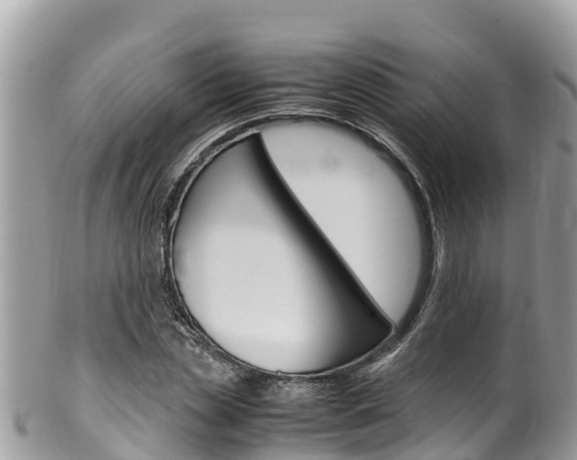 X0000100490829200806130753