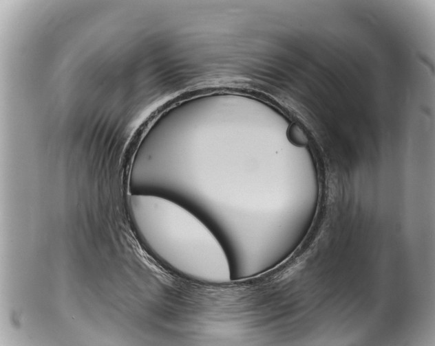 X0000100490830200806130753
