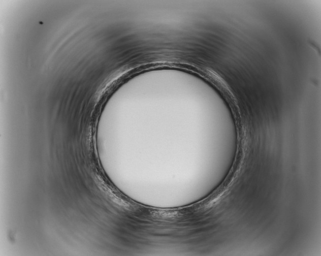 X0000100490831200806130753