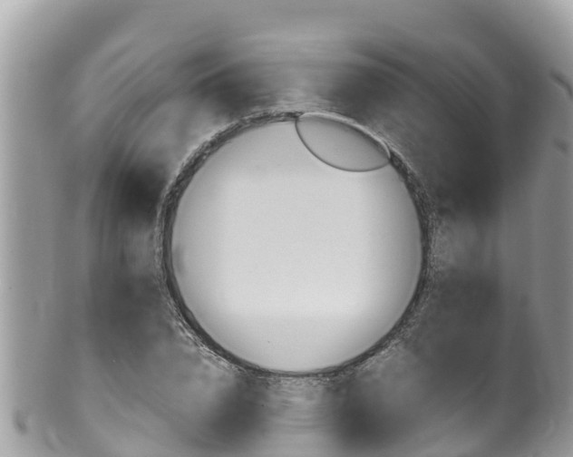 X0000100490832200806130753
