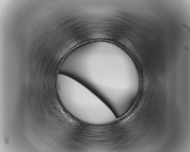 X0000100490833200806130753