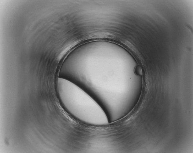 X0000100490834200806130753