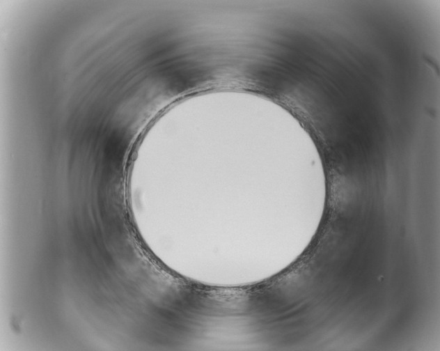 X0000100490836200806130753