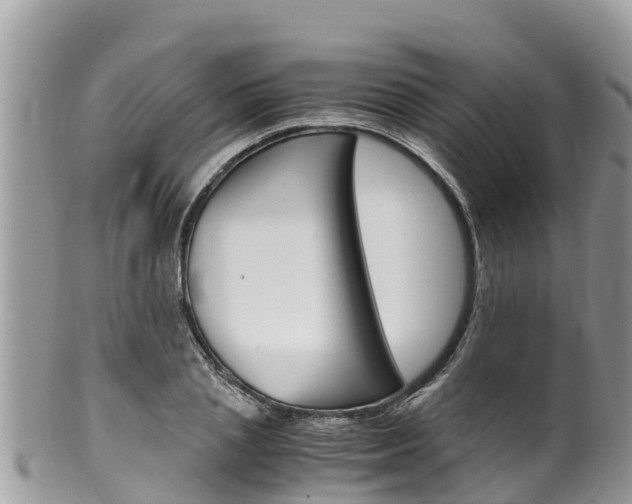 X0000100490837200806130753