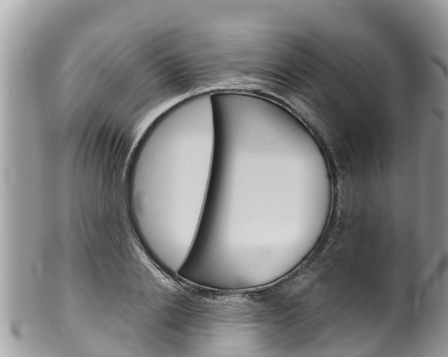X0000100490838200806130753