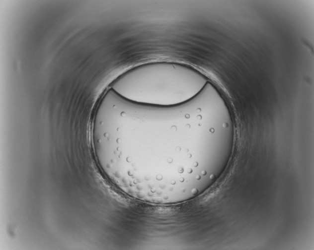 X0000100490839200806130753
