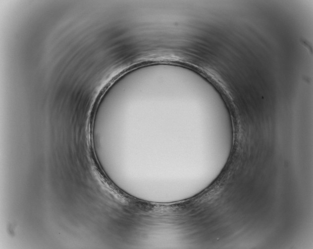 X0000100490840200806130753