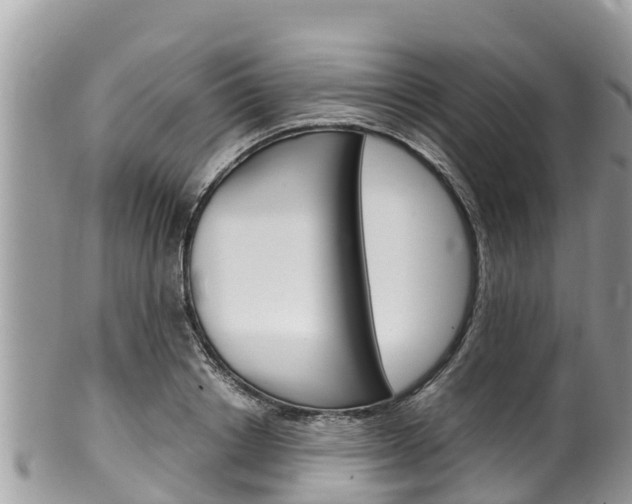 X0000100490842200806130754