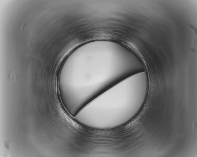 X0000100490843200806130754