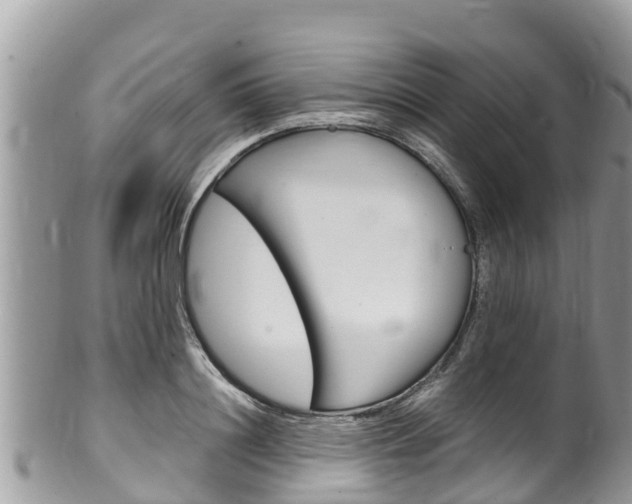 X0000100490844200806130754
