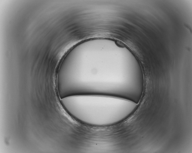 X0000100490846200806130754