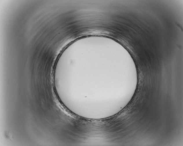 X0000100490848200806130754