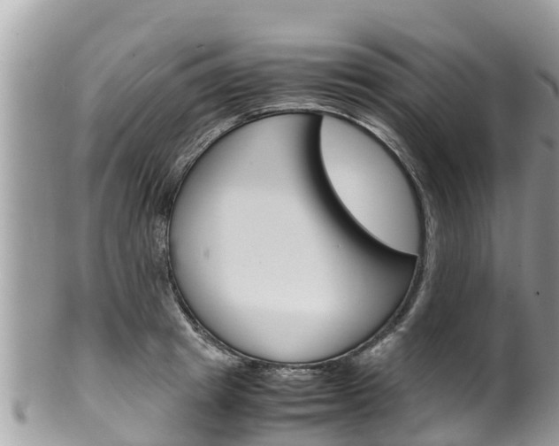 X0000100490849200806130754