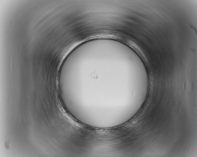 X0000100490852200806130754