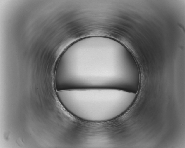 X0000100490854200806130754