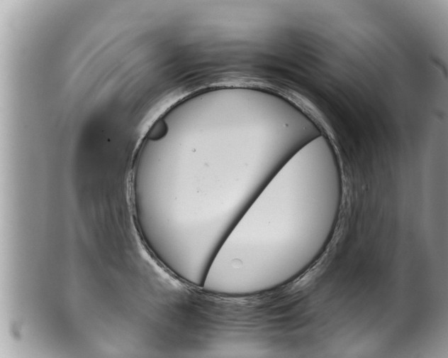 X0000100490855200806130754