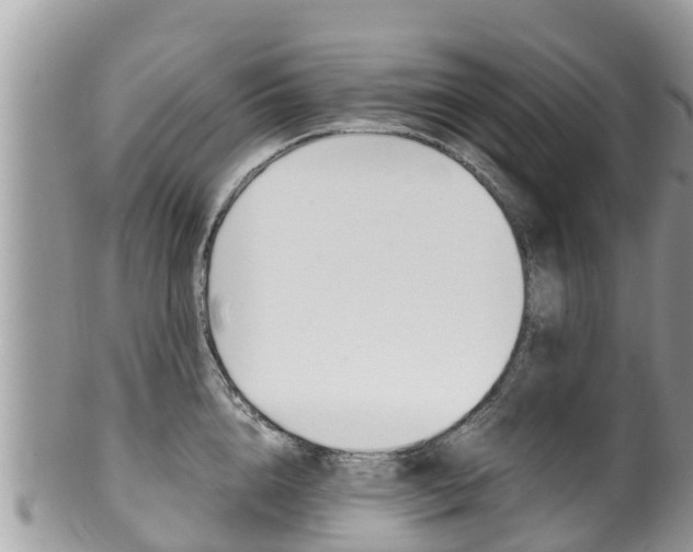 X0000100490856200806130754