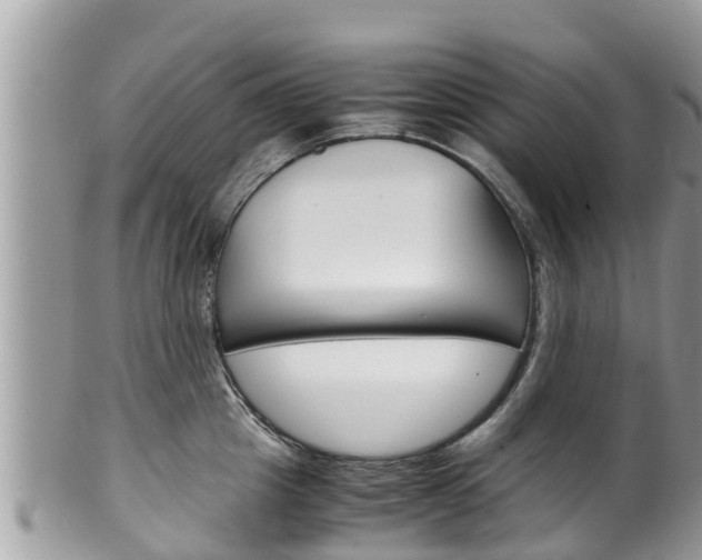 X0000100490857200806130754