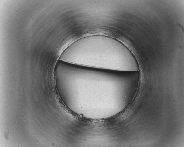 X0000100490858200806130754