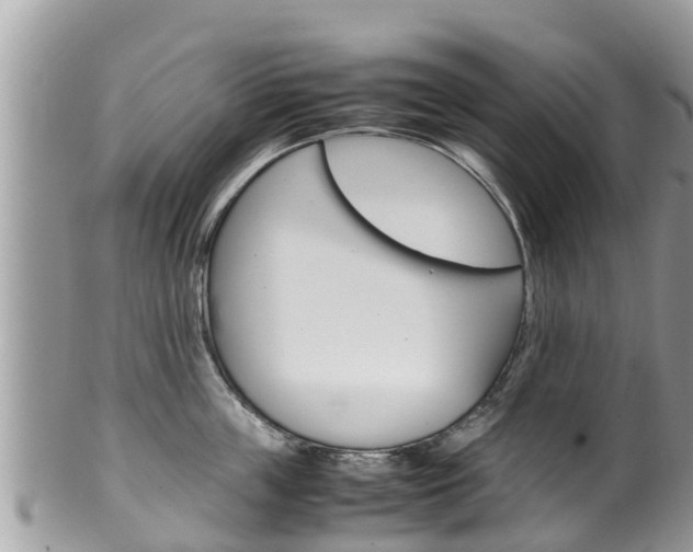 X0000100490859200806130754
