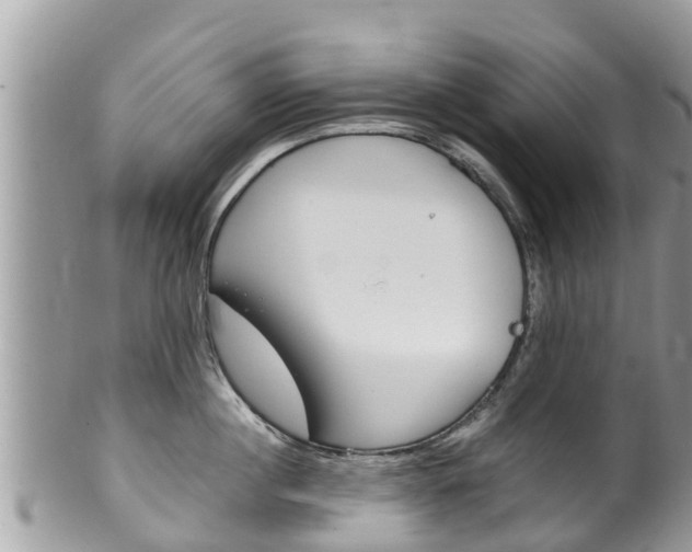 X0000100490860200806130754