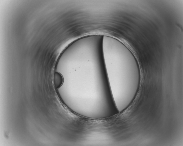 X0000100490862200806130754