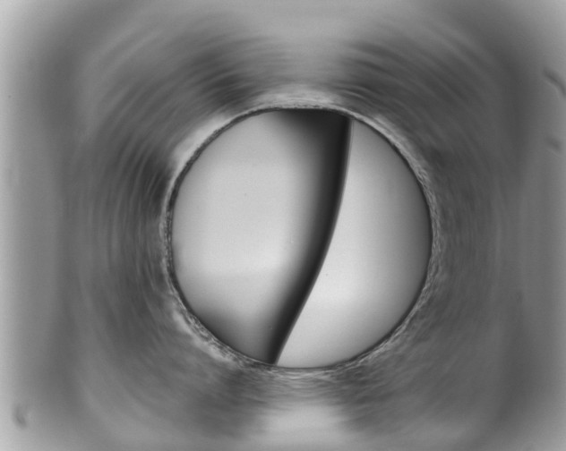 X0000100490864200806130754