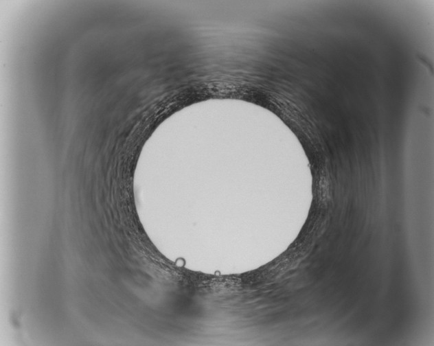 X0000100490865200806130753