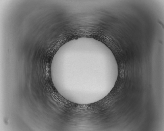 X0000100490866200806130753