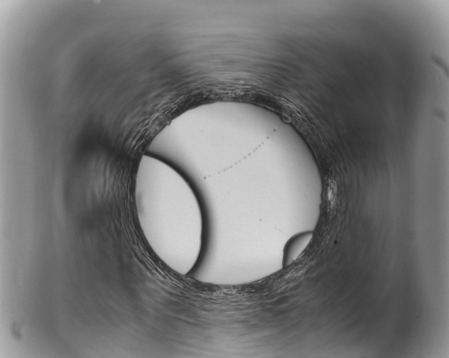 X0000100490867200806130753