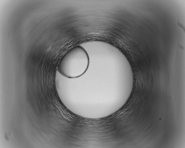 X0000100490868200806130753