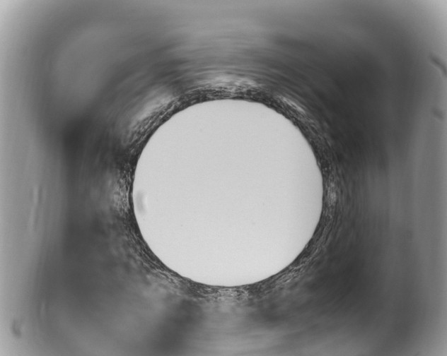 X0000100490869200806130753