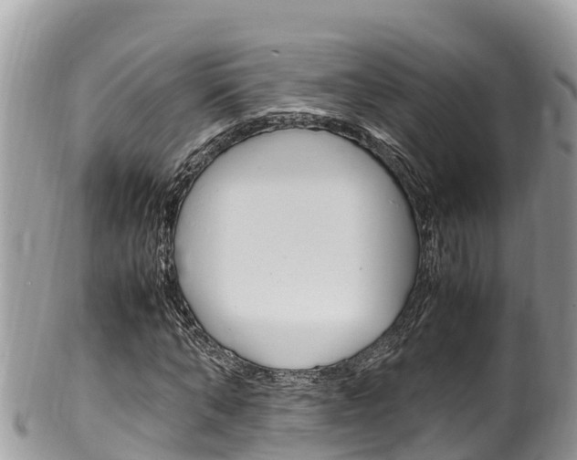X0000100490870200806130753