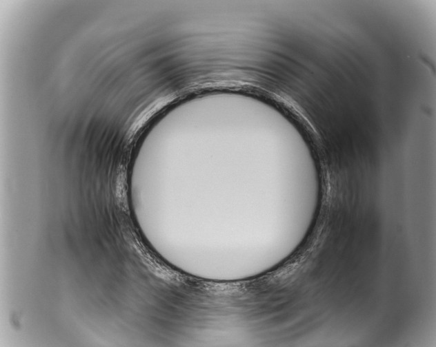X0000100490874200806130753