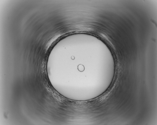 X0000100490875200806130753