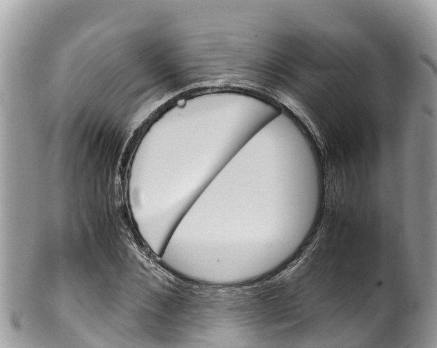 X0000100490876200806130753