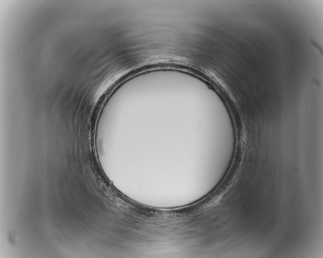 X0000100490877200806130753