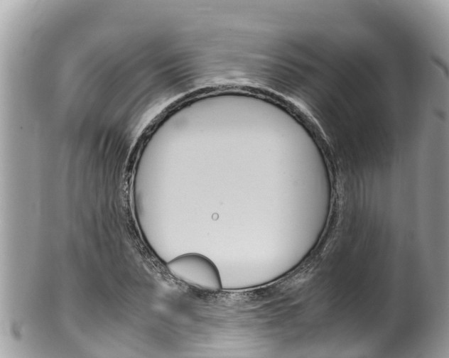 X0000100490879200806130753