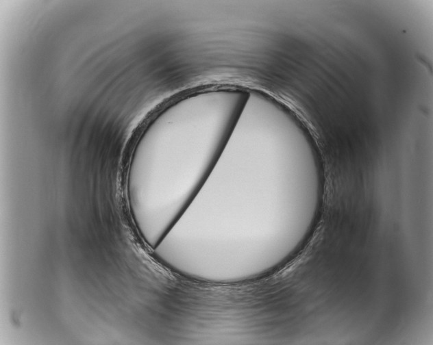 X0000100490880200806130753
