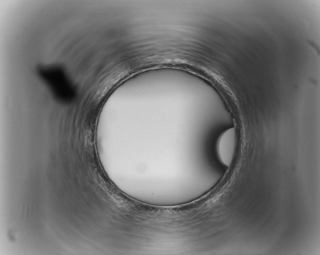 X0000100490881200806130753
