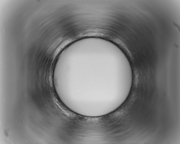 X0000100490882200806130753