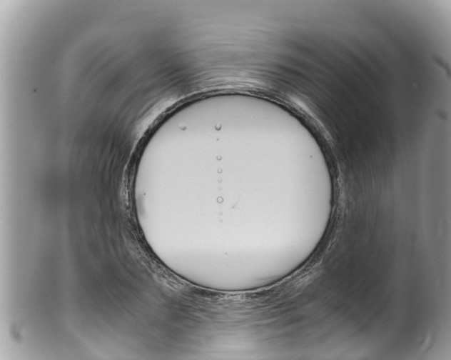 X0000100490883200806130753